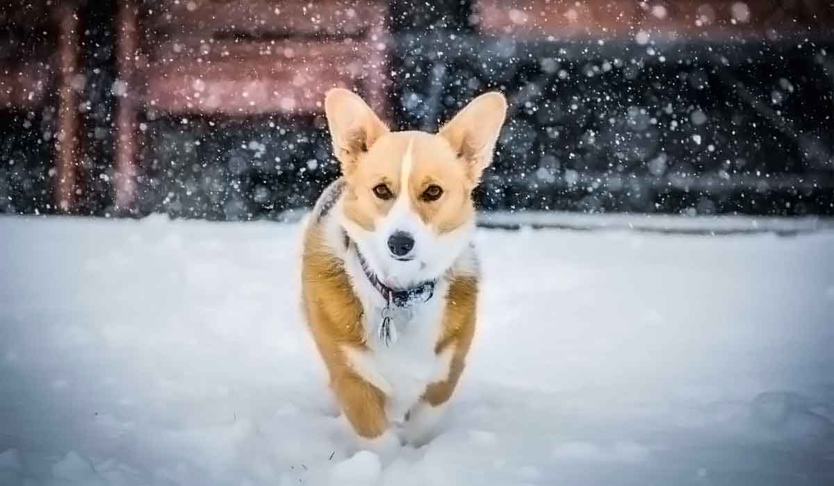 轰炸手机号码软件